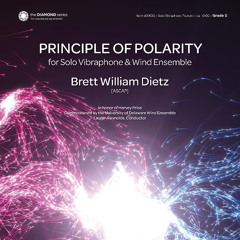 The Principle of Polarity (Solo Vibraphone & Band) - Brett William Dietz