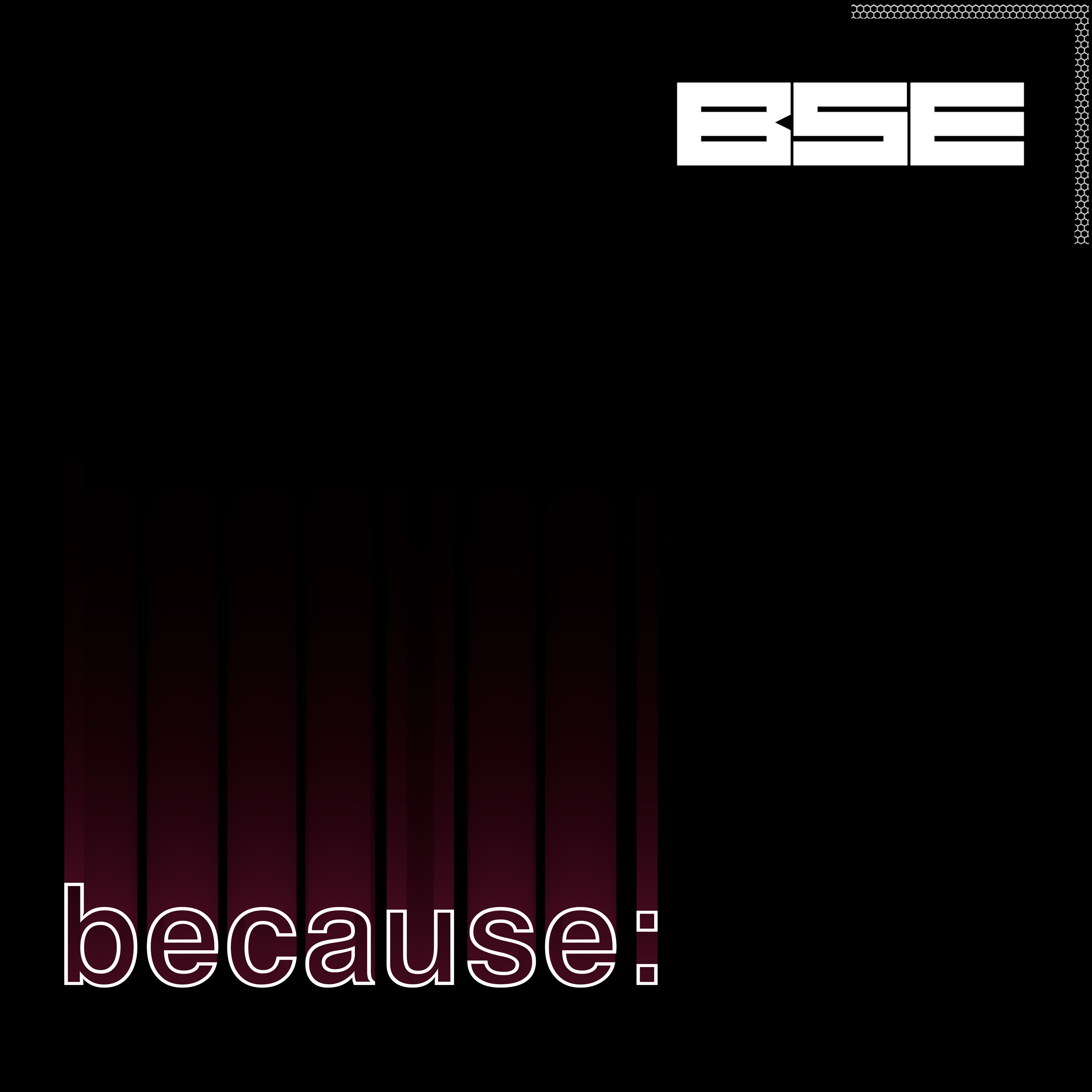 B.S.E