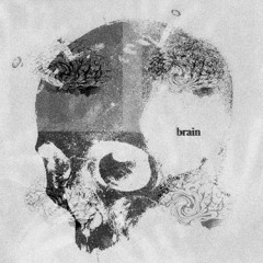 Brain