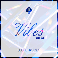 Vibes Vol.24