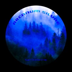 s1ptomatik - Arcanum Silvae