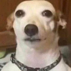 LITTORAL Vee Threepoint Five