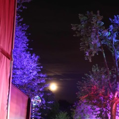 cherry blossom girl (cover)