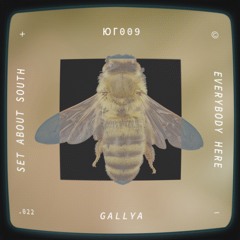 SOUTH009: Gallya - Everybody Here