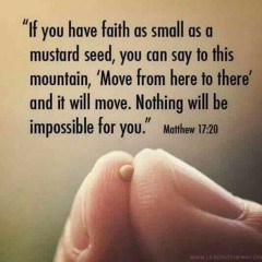 mustard seed p. Ozi