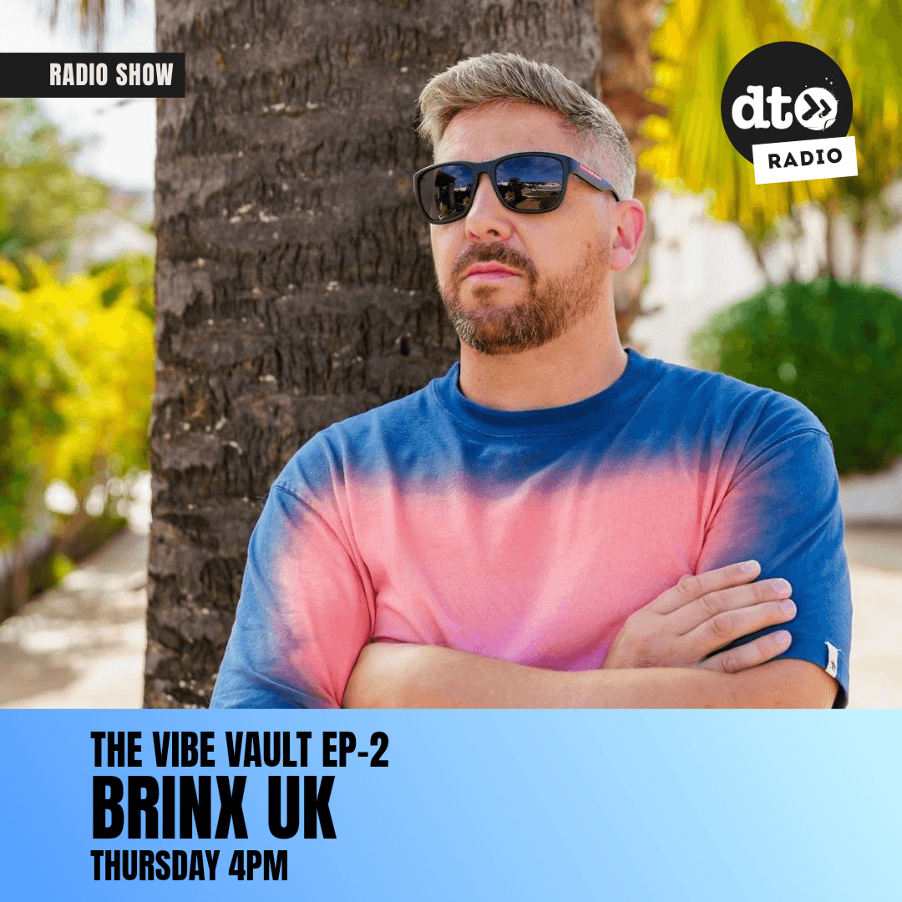 Vibe Vault EP-2 episode artwork