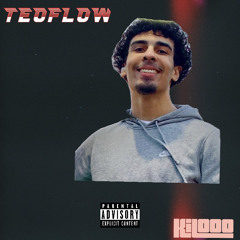 TèoFlow (ik niGGahs)