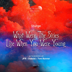 Sturge - What Were The Skies Like When You Were Young (Original Mix) [Musique De Lune]