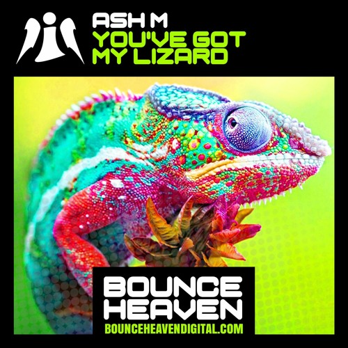 Ash M - You've Got My Lizard - BounceHeaven.co.uk