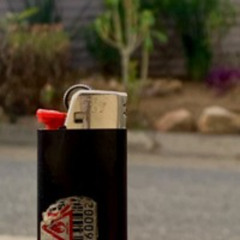 Broken Jungle (Demo)