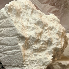 Antwan - Kall (bra kvalitet)