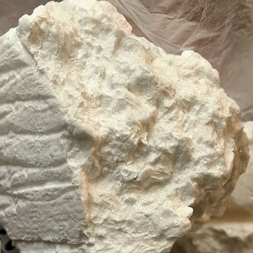 Antwan - Kall (bra kvalitet)