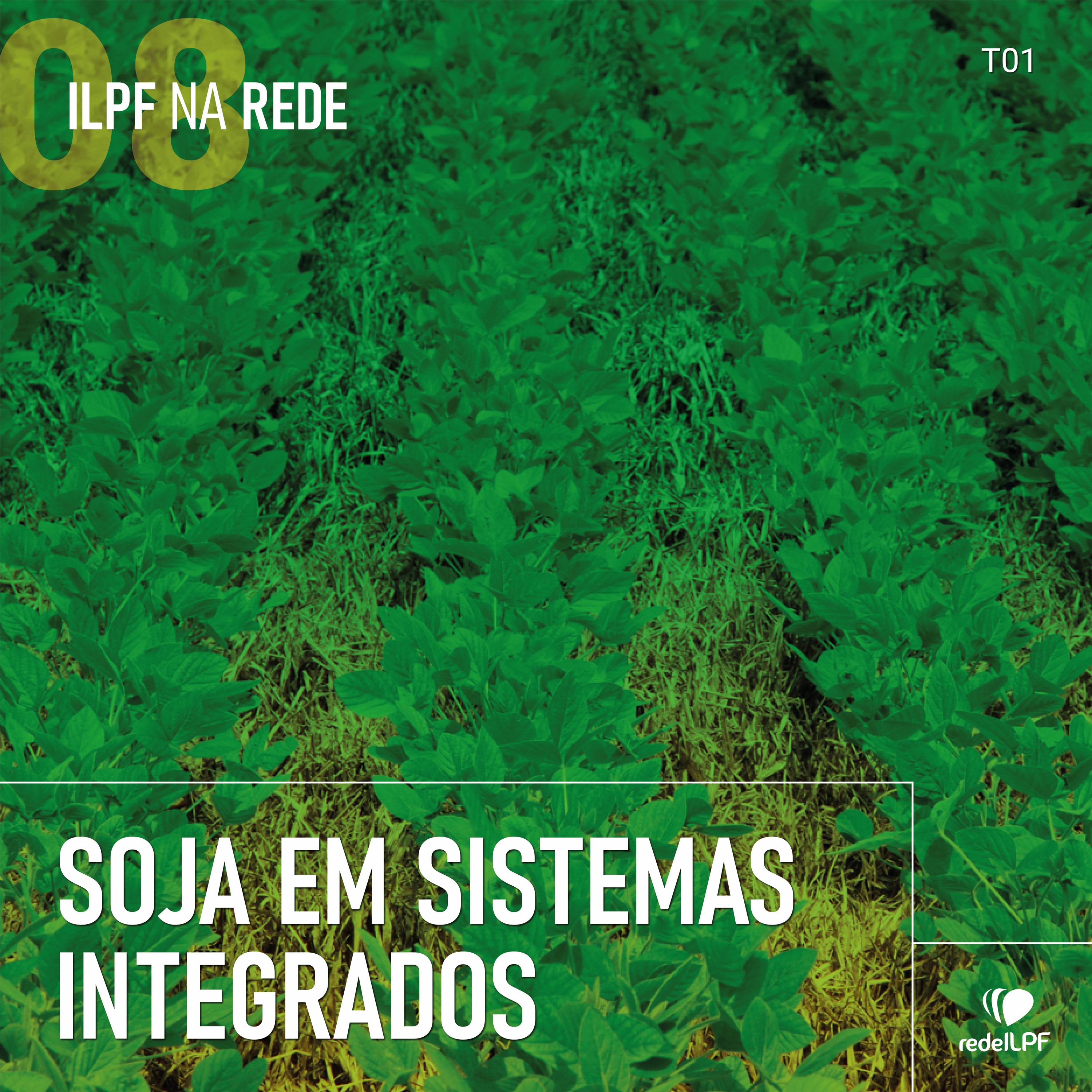 ILPF Na Rede