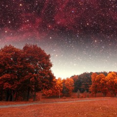 A Fall Night