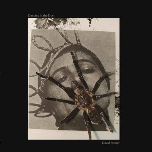 Premiere: David Meiser - Spacewalk (Terrence  Dixon Hard Mix) [Subsist Records]