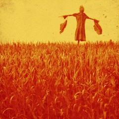 WHERE UR EYES DONT GO