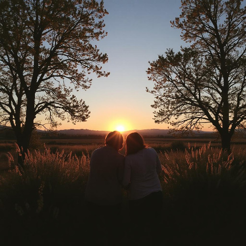 Endless Love