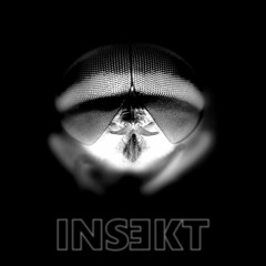 Insɘkt