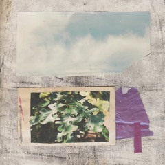 Fellow Hollow - "Counting deer"
