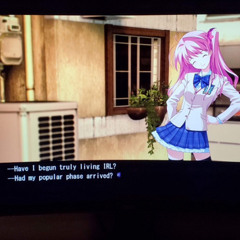 visual novel (akrzn)