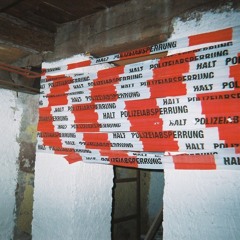 peitschenschlag