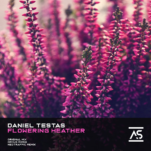 Daniel Testas - Flowering Heather (Original Mix) [OUT NOW]
