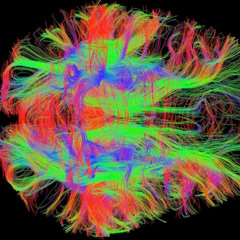 brainxperimnt x150v2
