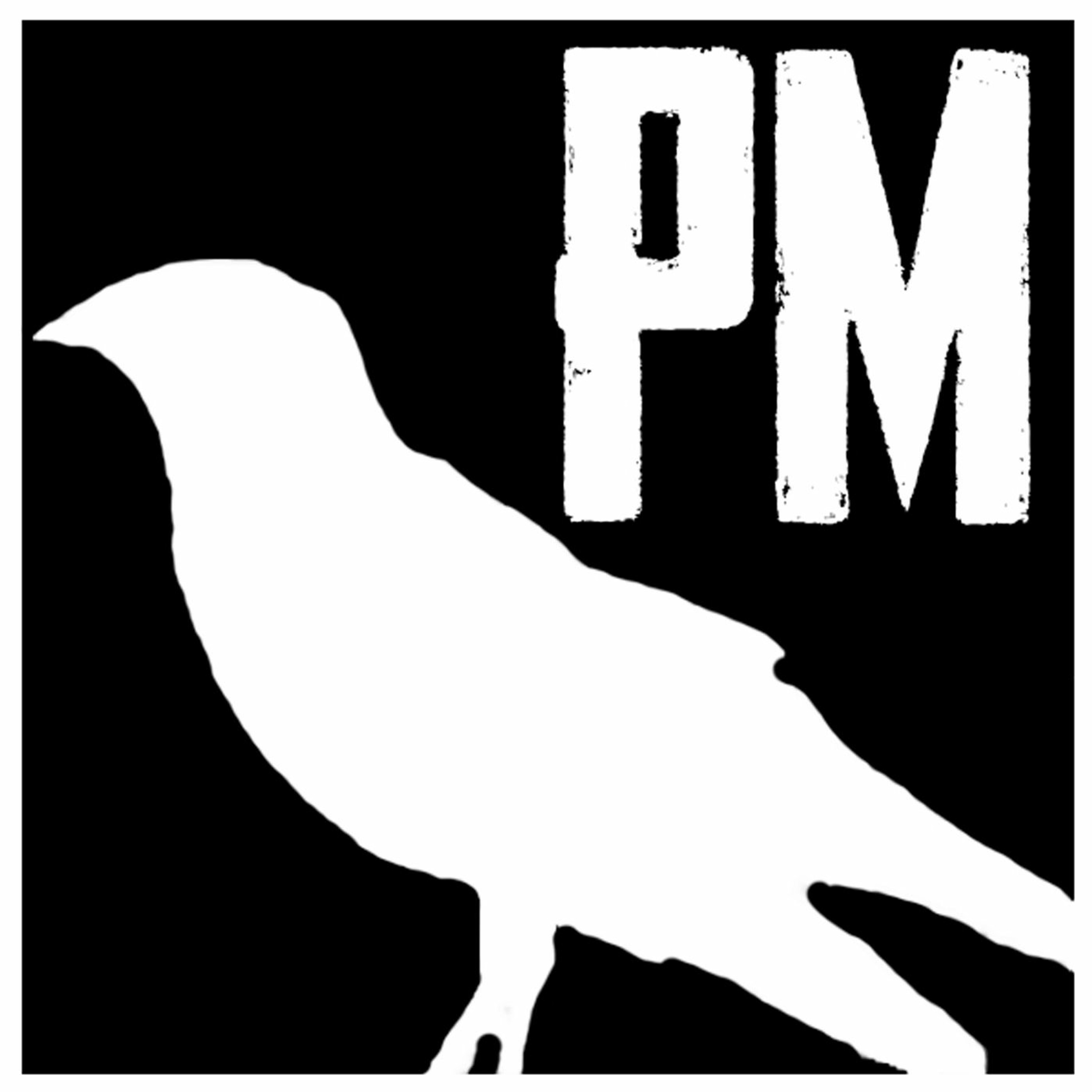 6 Regler Til At Overleve Maskinrummet