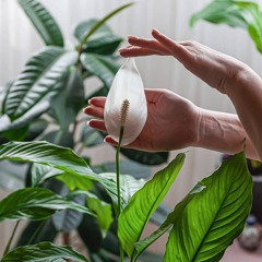 ЖЕНСКОЕ СЧАСТЬЕ СО СТАНИСЛАВОМ САВИЦКИМ 1