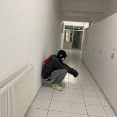 GorillaStankmp3