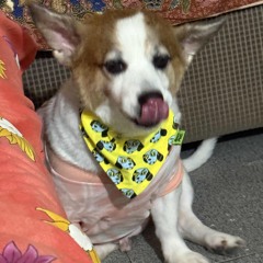 Take You Down (Chris Brown cover)