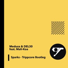 Meduza&DEL30 ft.Mali Koa - Sparks (Trippcore Bootleg)