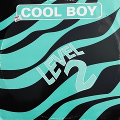 Level 2 - Cool Boy (YPS Edit)