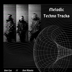 Melodic Techno / Relaxing Grooves
