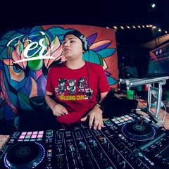 MIX COMO SI EL AMOR PROHIBIERA DJ FER