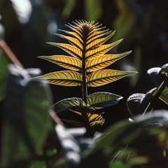 Flower of taste