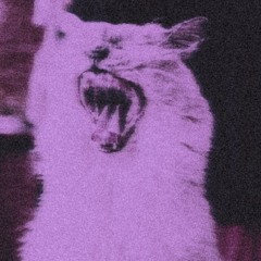 Avoidance Mix