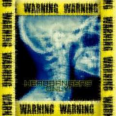 WARNING! Headbangers Only Vol. 2