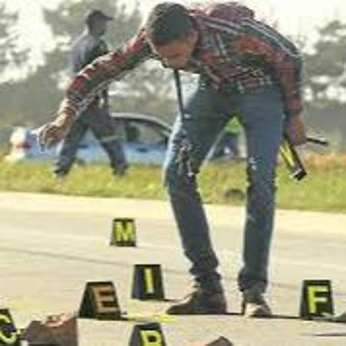 KwaZulu in Crisis: 19 Councillors Gunned Down Since September, Region on the Brink