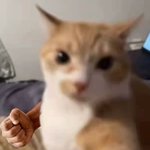 para con los audifonos