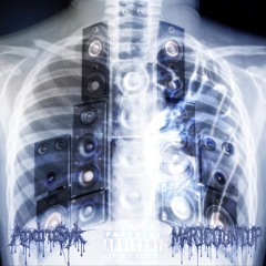 Trust in bass - Andru$yk + maricountup