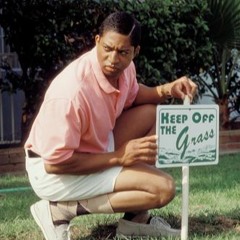 CyB-quise GOTTA GO