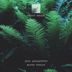 Post Apocalyptic - Nature Therapy