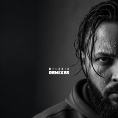 DJ Mass - Frozen (Melodic Remix)