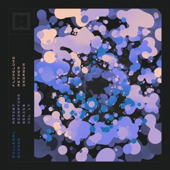 BS017 - FlukeLuke - Aether Organum [SAMPLE PACK]