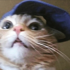 What Is Even Happening