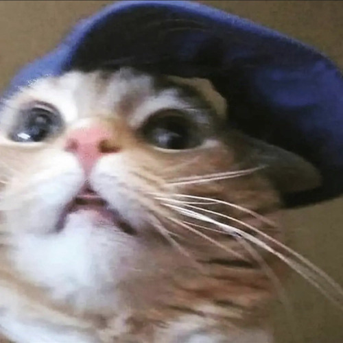 What Is Even Happening