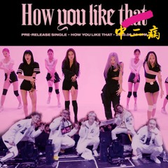 DAMOIM, BLACKPINK - How You Like 중2병