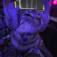 cat frequencies