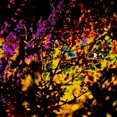 Nuther Day (Free Download)